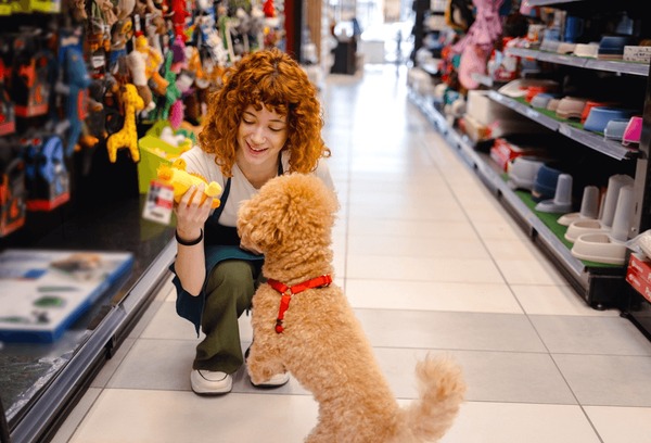 pet business broker florida